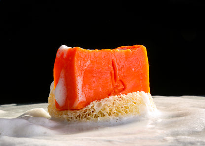 Ayla Hair & Body Soap